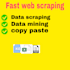 do fastest data entry in one day and your virtual assistant
