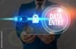 do perfect data entry work, web search and copy paste