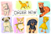 illustrate animal into character design fantasy
