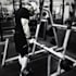 offer free custom fitness programs
