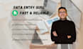 do accurate data entry, data cleaning and excel formatting