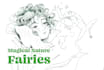 draw you a fairy