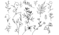 drawn and design cute simple tattoo based on your concept