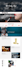 develop your new wordpress website