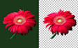 photo background remove and make transparent