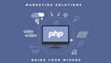 be your backend php and sql web developer