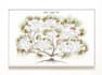 design personalized genealogy family tree poster