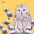 create animal and pet illustration