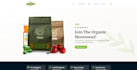 build professional wordpress website design