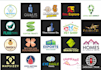 professional to design flat or versatile logo