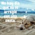crear post para facebook e instagram