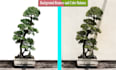 do object, background remove, resize of images in photoshop