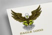 make creative interesting eagle logo with new concepts