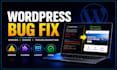 provide wordpress website design, development and support