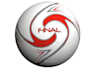 design 2d 3d soccer ball football volley ball basket ball