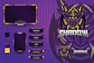 a professional design twitch overlay and streaming package
