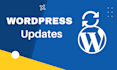 provide expert wordpress bug fixing and troubleshooting services