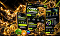 design crypto, nft, token, meme coin, pepe wordpress website