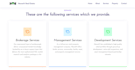 develop website for you