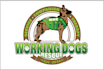 do stunning dog, pet, cat, or animal logo