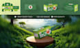 design premium coffee and tea boxes label and pouch packaging