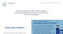website design to elevate your business