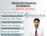 build budgets and financial model and business plan