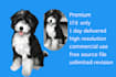 draw your pet into cartoon