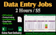 do excel data cleaning, excel data entry, data cleanup