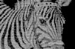 make text art and portrait of any image