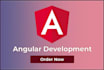 do web application and web site in dotnet and angular