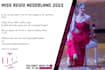 create custom banners or flyers for you