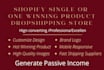 create single product or one winning product shopify dropshipping store