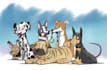 draw a cartoon portrait of your pet