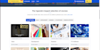 web application developer and website designer
