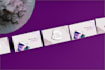 do architect , arts and food professional business card