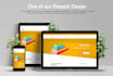 create a professional responsive ecommerce wordpress website using woocommerce