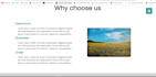 do web development at low cost
