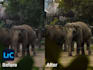 enhance your pictures on lightroom