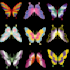 create your custom sticker designs
