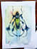 paint a watercolor bug illustration