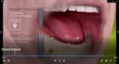 make dental 4d animated videos