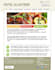 design a  responsive website