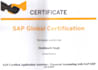 support you in sap ecc6 and s4hana financial accounting