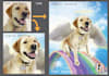 draw your dog in semirealist style