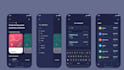 develop a secure crypto wallet app for your needs