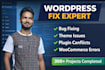customize wordpress theme, plugin or add custom functions