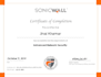 setup sonicwall firewall, configure VPN, routing policy, troubleshooting