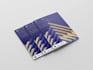 design a professional business brochure and flyer