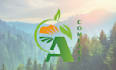 create a modern logo for you